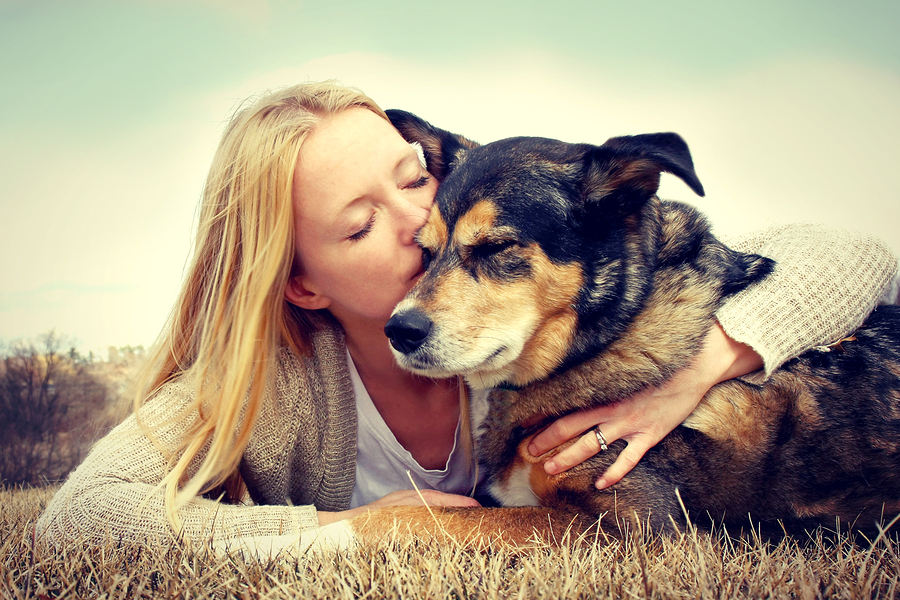 Hundehaftpflichtversicherung
